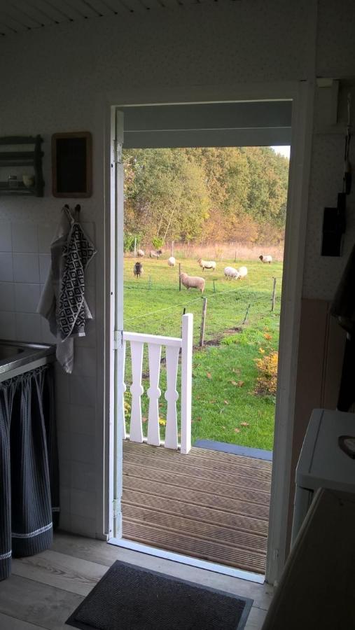 Pipowagen Elsebein Groningen Westerwolde unieke ligging met eigen tuin en vrij uitzicht over veld naar natuurgebied Onstwedde Buitenkant foto