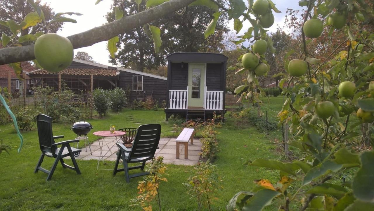 Pipowagen Elsebein Groningen Westerwolde unieke ligging met eigen tuin en vrij uitzicht over veld naar natuurgebied Onstwedde Buitenkant foto