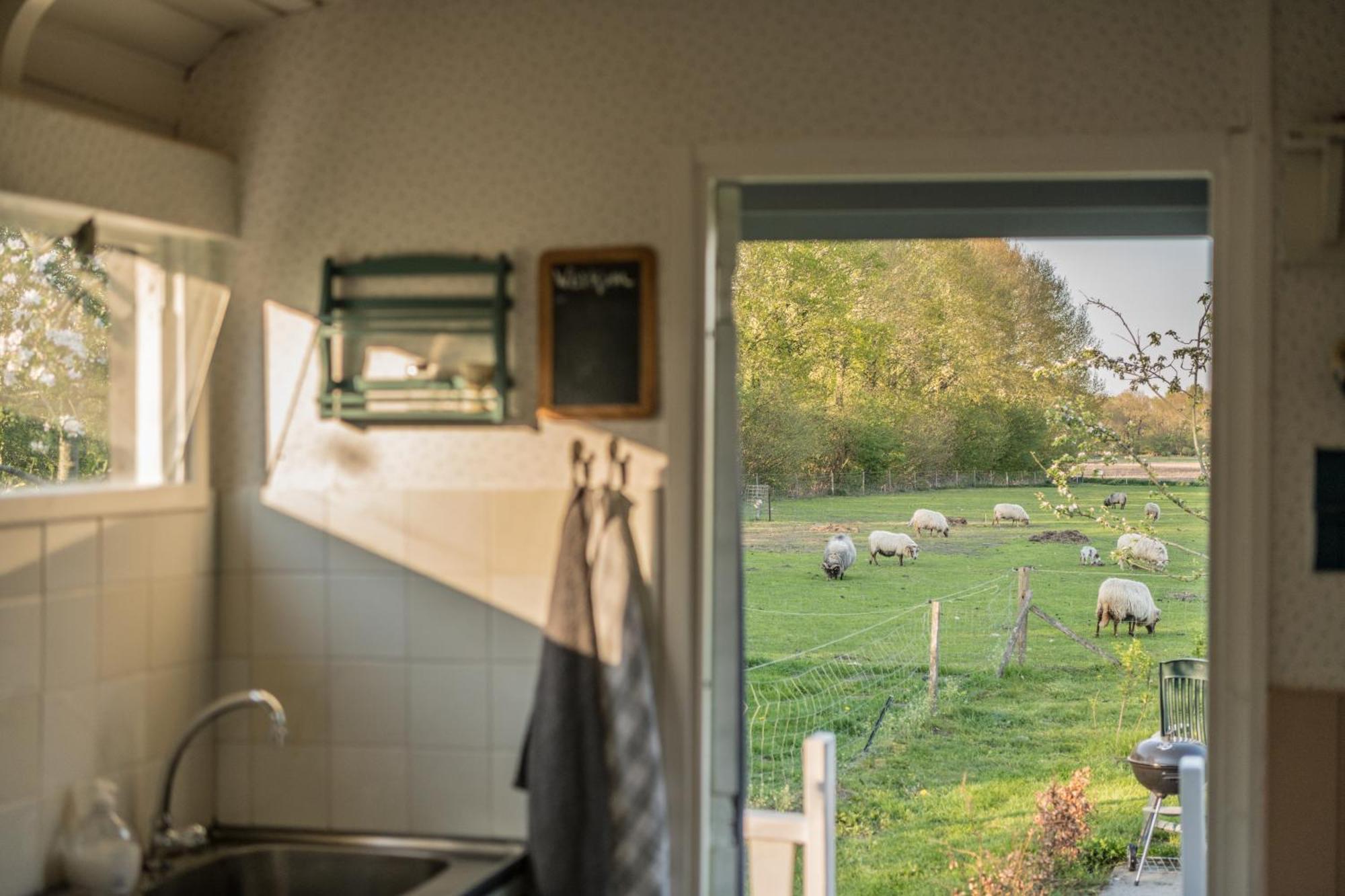 Pipowagen Elsebein Groningen Westerwolde unieke ligging met eigen tuin en vrij uitzicht over veld naar natuurgebied Onstwedde Buitenkant foto