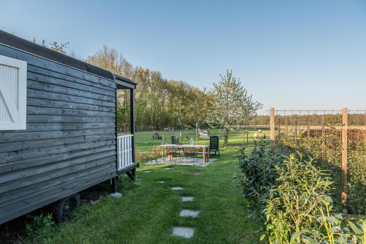Pipowagen Elsebein Groningen Westerwolde unieke ligging met eigen tuin en vrij uitzicht over veld naar natuurgebied Onstwedde Buitenkant foto