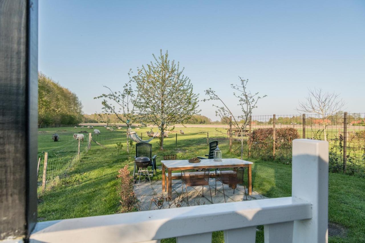 Pipowagen Elsebein Groningen Westerwolde unieke ligging met eigen tuin en vrij uitzicht over veld naar natuurgebied Onstwedde Buitenkant foto
